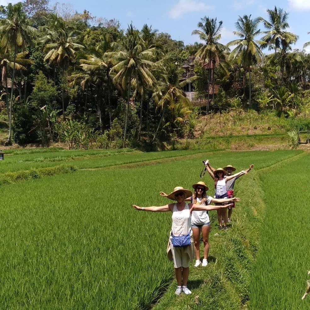 Mayong Bali Villa And Hostel Munduk Kültér fotó